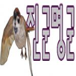 회원사진